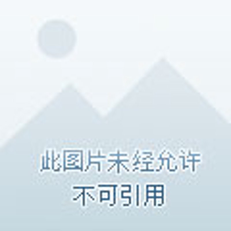 互联网时代的个性化定制：企业网站如何打造核心竞争力